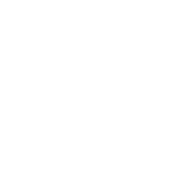 Botaslogo